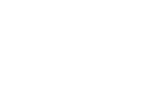 LOGO WIT